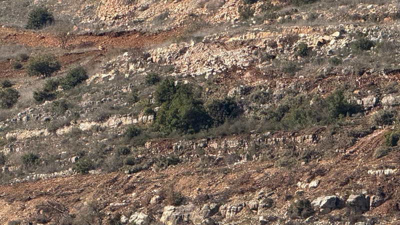 IDF Publishes Expanded Lebanon Occupation Zone Map on MOU Signing Day