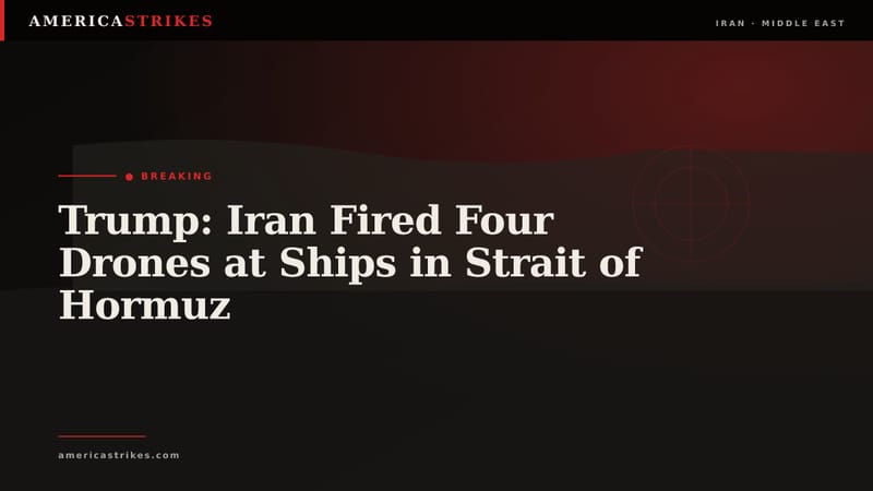 Trump: Iran Fired Four Drones at Ships in Strait of Hormuz