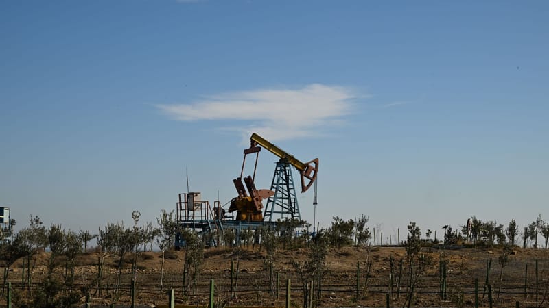 China's Oil Imports Plunge 41 Percent, Tempering Fuel Price Surge