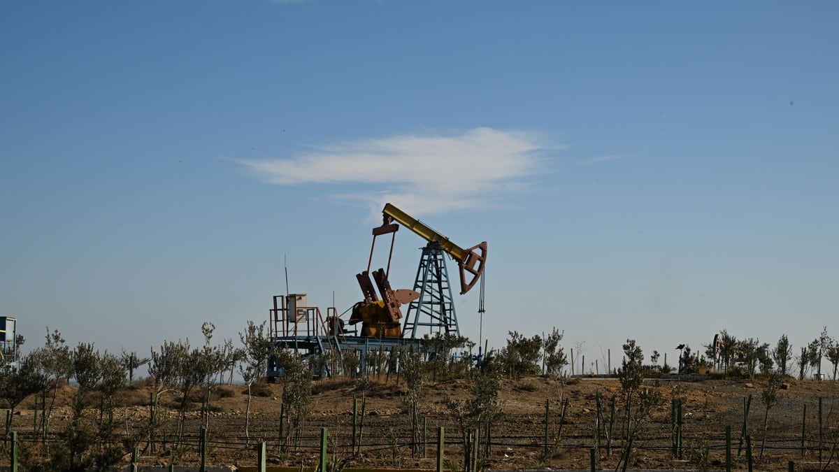 China's Oil Imports Plunge 41 Percent, Tempering Fuel Price Surge