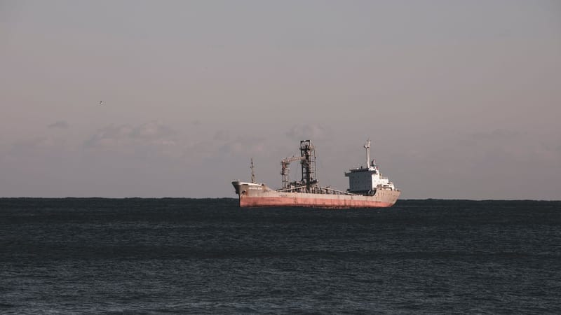 Putin Thanks North Korea as Ukraine Blames Russia for Cargo Ship Strike
