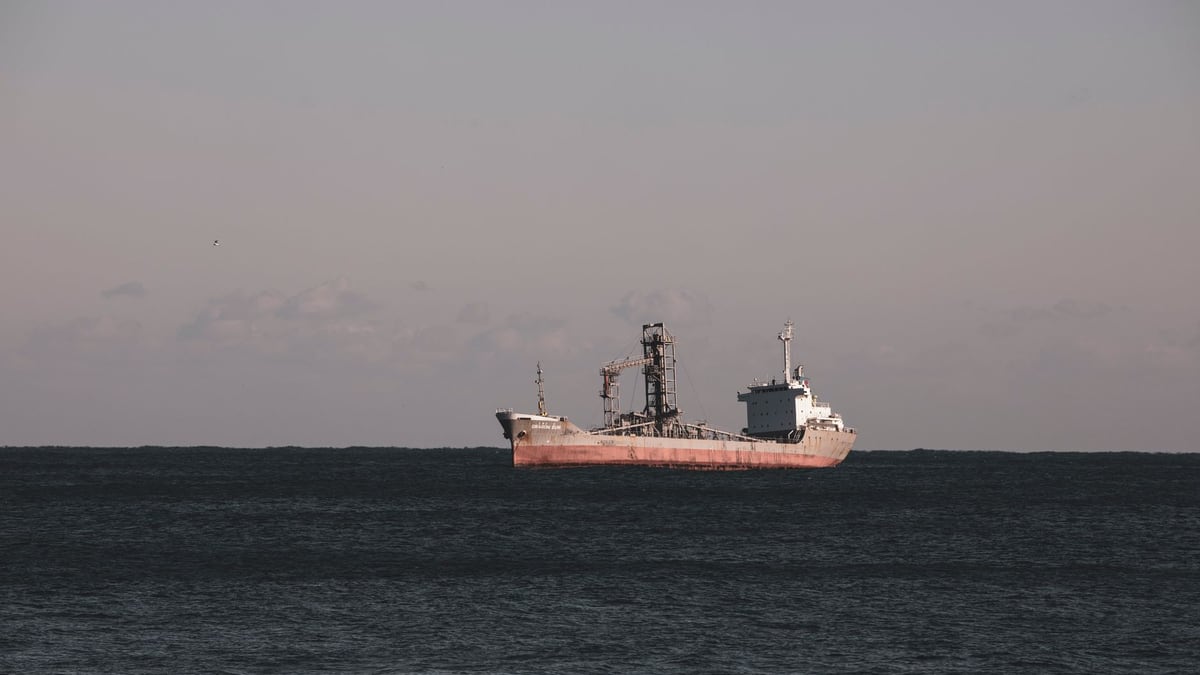 Putin Thanks North Korea as Ukraine Blames Russia for Cargo Ship Strike