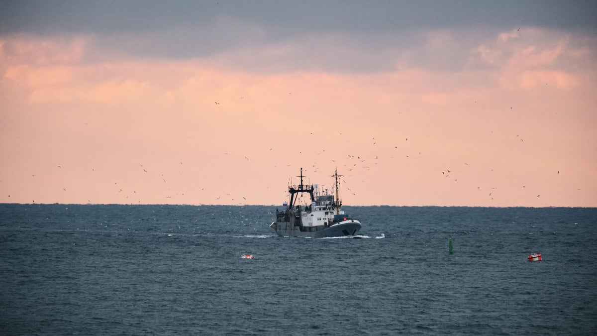 Ukraine Hit Iranian Arms Ship; Russia Passes Satellite Data to Tehran