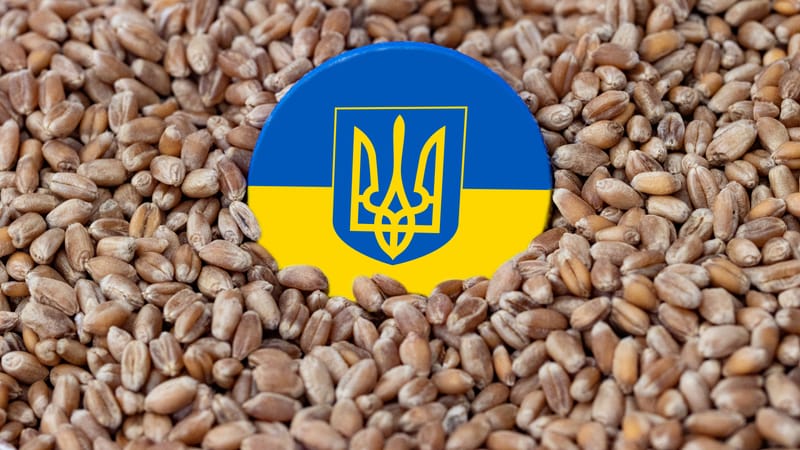 Satellite Images Confirm Ukraine Port Strike, Food Supply at Risk