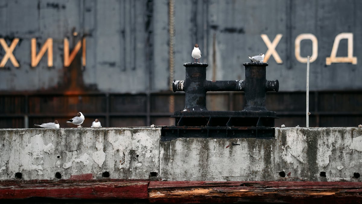 Russia, Ukraine Trade Drone Strikes on Port and Industrial Targets