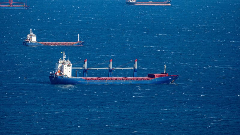 Container Ship Sinks Near Hormuz as Iran Escalates Maritime Strikes