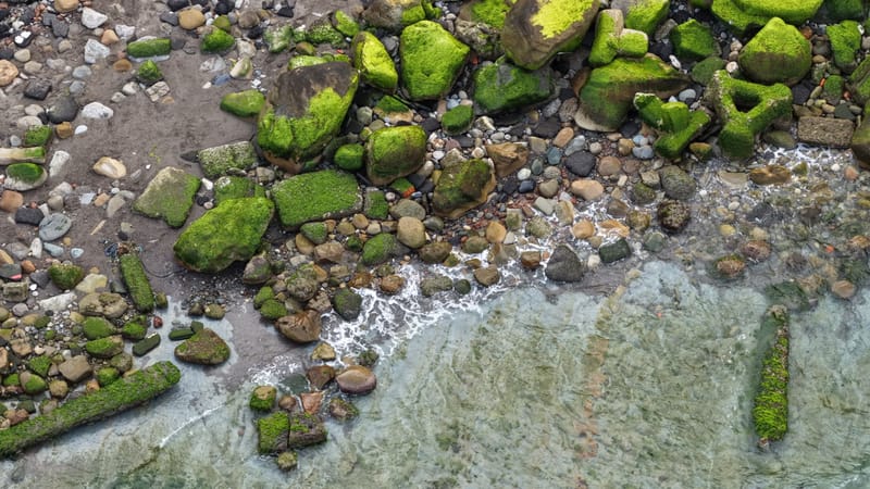 Taiwan Vows Vigilance After Beijing Releases Satellite Images of Island